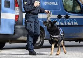 Controlli al quartiere San Paolo, ristorante chiuso e altri tre locali sanzionati